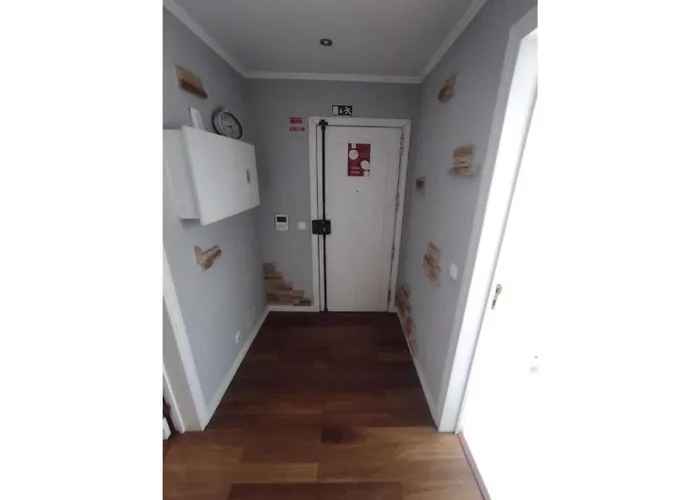 公寓 Large Contemporary With Three-bedroom
