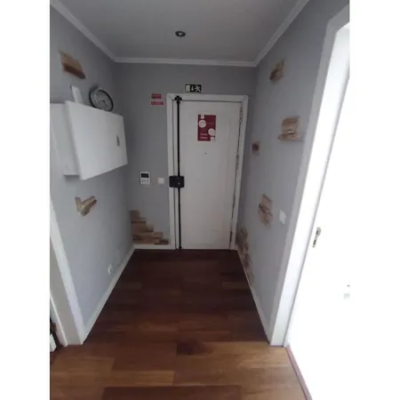 Apartmán Large Contemporary With Three-bedroom