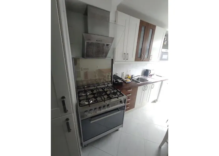 Large Contemporary With Three-bedroom Apartment